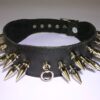 Collar. 4 cm. wide. decorated with long spikes