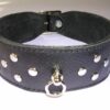 Collar. 4 cm. wide. decorated with rivets