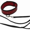 S&M RED LEASH & COLLAR - S&M RED LEASH & COLLAR