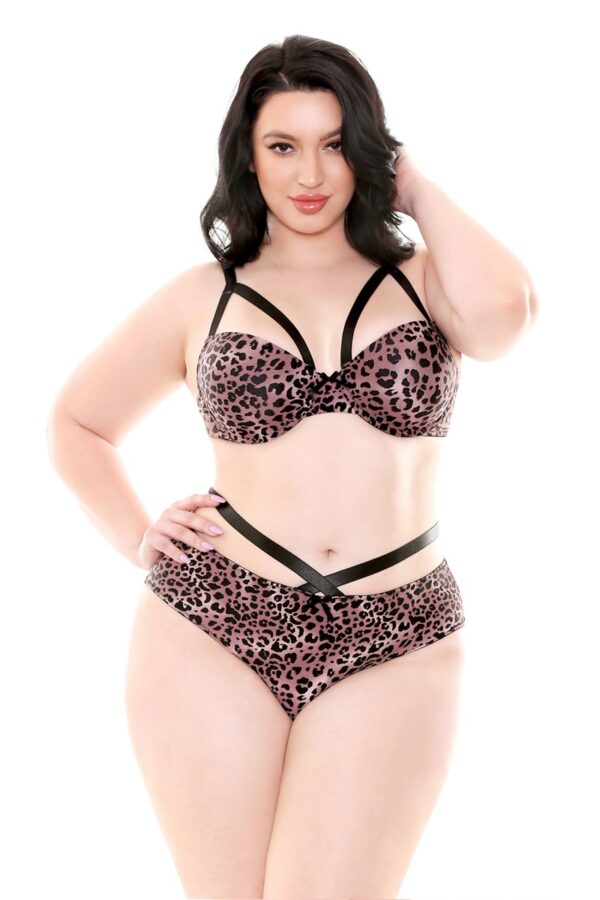 JOCELYN BRA SET / XXXL -