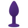 INTENSE PURPLE ANAL PLUG S -