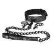 STEAMY SHADES COLLAR, LEASH, NIPPLE CLAMPS -