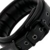 DARKNESS BLACK COLLAR W. LEASH -