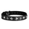 COWAN COLLAR -