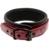 F.S. DARK ROOM COLLAR W. LEASH VEGAN LEATHER -