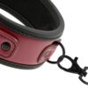 F.S. DARK ROOM COLLAR W. LEASH VEGAN LEATHER -