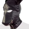 FETISH DEVOTION MASK -