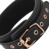 COQUETTE COLLAR - VEGAN LEATHER -