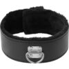 DARKNESS COLLAR W. LEASH TITANIUM -