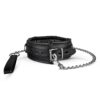 COOPER COLLAR WITH LEASH -