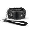 COOPER COLLAR WITH LEASH -