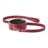 BLAZE ELITE RED COLLAR & LEASH -