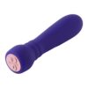 FEMMEFUNN BOOSTER BULLET PURPLE -