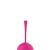 PLEASURE BALLS & EGGS DUO BALL SET -