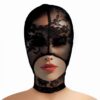 LACE SEDUCTION BONDAGE MASK -