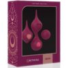 RITHUAL DEVA PELVIC TRAINING ORCHID PURPLE -