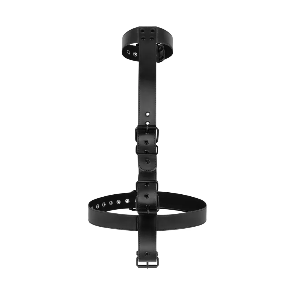 Collar with Wrist Cuffs Body Restraint Set