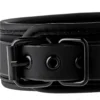 Κολάρο με λουρί Blaze Luxury Fetish Collar and Leash