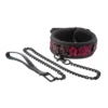 Κολάρο με λουρί Blaze Deluxe Collar & Leash