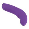 5 Inch Silicone 10 Function Vibrator Purple