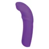 5 Inch Silicone 10 Function Vibrator Purple