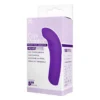 5 Inch Silicone 10 Function Vibrator Purple