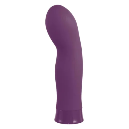 Μίνι δονητής 5 Inch Rechargeable Silicone 10 Functions Speed Vibrator Purple NMC