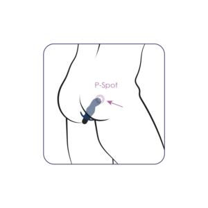 Πρωκτική σφήνα με δόνηση Gladius Vibrator Plug