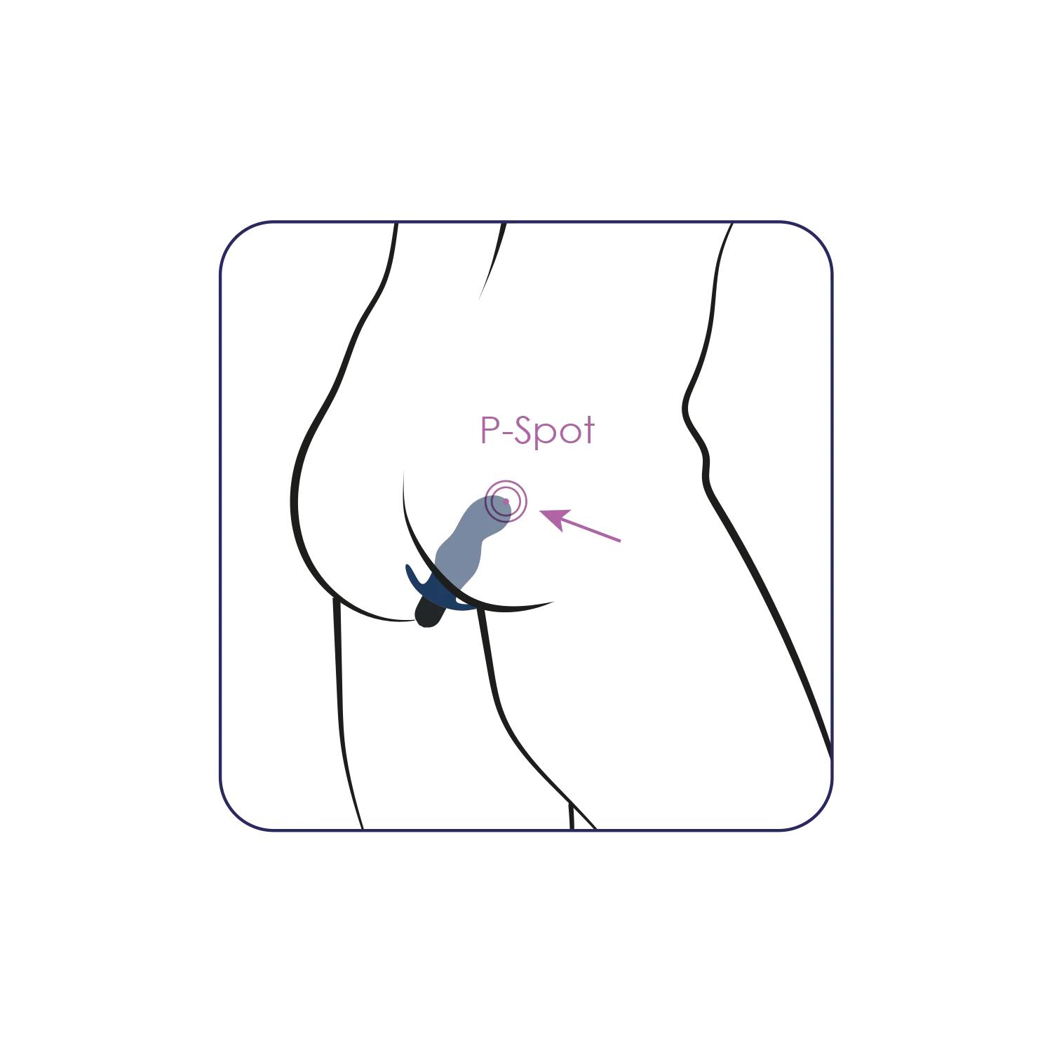 Πρωκτική σφήνα με δόνηση Gladius Vibrator Plug