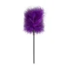 BDSM σετ Secret Pleasure Chest X Bedroom Fantasies - Purple Apprentice